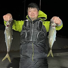 4月 6日（日）午後便・アジ釣りの写真その7