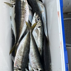 4月 26日（土）午前、午後・アジ釣りの写真その10