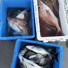 4月26日（土）午後便・ウタセマダイ釣りの写真その4