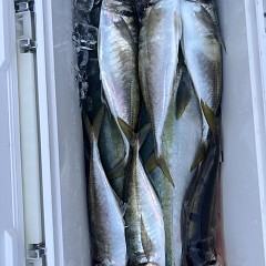 4月 27日（日）午後便・アジ釣りの写真その8