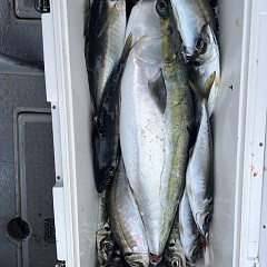 4月 27日（日）午後便・アジ釣りの写真その10