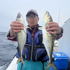 5月 1日（木）午後便・アジ釣りの写真その4