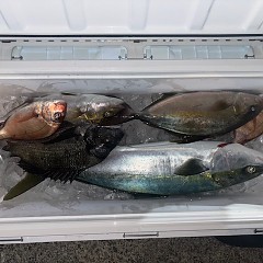 5月1日（木）午後便・ウタセマダイ釣りの写真その5