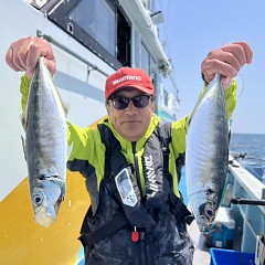5月 3日（土）午前、午後・アジ釣りの写真その11
