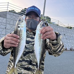 5月 4日（日）午前、午後・アジ釣りの写真その4