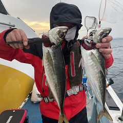 5月 5日（月）午後便・アジ釣りの写真その3