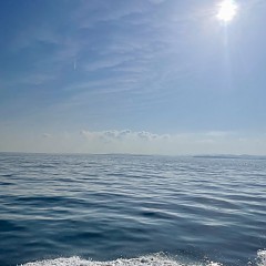 5月 14日（水）午後便・アジ釣りの写真その1