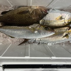 5月20日（火）午後便・ウタセマダイ釣りの写真その9