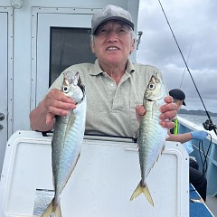 5月 21日（水）8時出船・アジ釣りの写真その1
