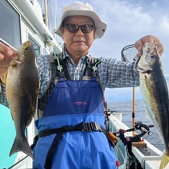 5月 22日（木）午後便・アジ釣りの写真その4