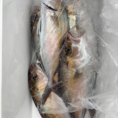 5月23日（金）午後便・ウタセマダイ釣りの写真その5