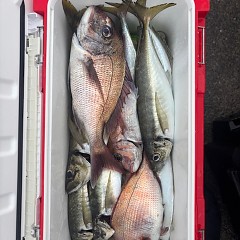 5月27日（火）午後便・ウタセマダイ釣りの写真その2