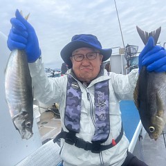 5月 29日（木）午前便・アジ、イサキ釣りの写真その2