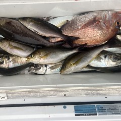 5月 29日（木）午後便・アジ、イサキ釣りの写真その7
