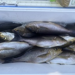 6月 2日（月）午後便・イサキ釣りの写真その7
