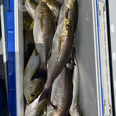 6月 4日（水）午前便・イサキ釣りの写真その7