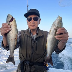 6月 5日（木）午後便・イサキ釣りの写真その3