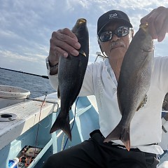 6月 6日（金）午後便・イサキ釣りの写真その2