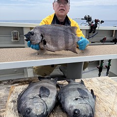 6月 7日（土）午前便・イシダイ釣りの写真その1