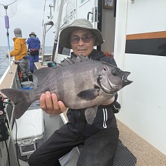 6月 7日（土）午前便・イシダイ釣りの写真その5