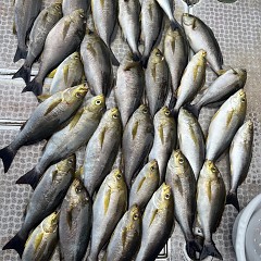 6月 8日（日）午前便・イサキ釣りの写真その6