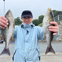 6月 10日（火）午前便・イサキ釣りの写真その1