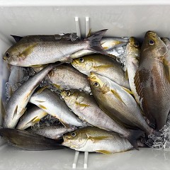 6月9日（月）8時出船・イサキ釣りの写真その7
