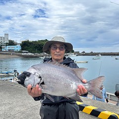 6月12日（木）午前便・イシダイ釣りの写真その1