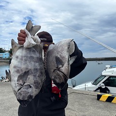 6月12日（木）午前便・イシダイ釣りの写真その2