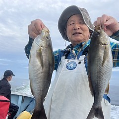 6月 12日（木）午後便・イサキ釣りの写真その1