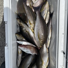 6月 15日（日）午前便・イサキ釣りの写真その8