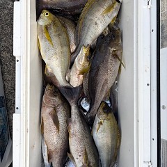 6月15日（日）午後便・イサキ釣りの写真その4