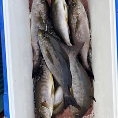 6月15日（日）午後便・イサキ釣りの写真その5