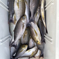 6月15日（日）午後便・イサキ釣りの写真その6