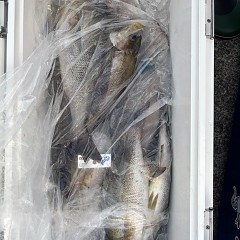 6月15日（日）午後便・イサキ釣りの写真その8