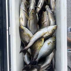 6月 16日（月）午後便・イサキ釣りの写真その5