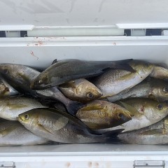 6月 17日（火）午後便・イサキ釣りの写真その9