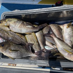 6月 18日（木）午前便・イサキ釣りの写真その3