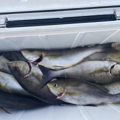 6月 19日（木）午後便・イサキ釣りの写真その10