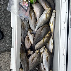 6月22日（日）午前便・イサキ釣りの写真その9