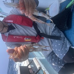 6月 22日（日）1日便・スルメイカ釣りの写真その7
