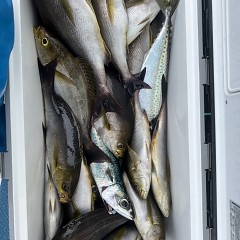 6月 23日（月）午前便・イサキ釣りの写真その11