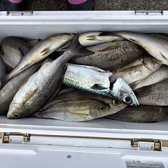 6月 24日（火）午前便・イサキ釣りの写真その8
