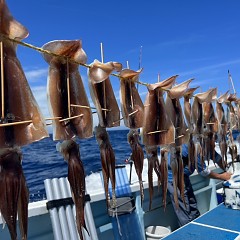6月 25日（水）一日便・スルメイカ釣りの写真その6