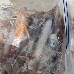 6月 25日（水）一日便・スルメイカ釣りの写真その9