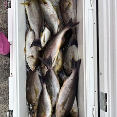 6月27日（金）午後便・イサキ釣りの写真その12