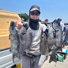 6月27日（金）午前便・イシダイ釣りの写真その2