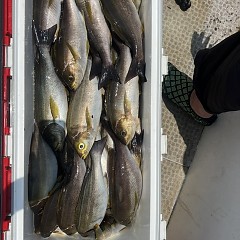 6月30日（月）午前便・イサキ釣りの写真その4