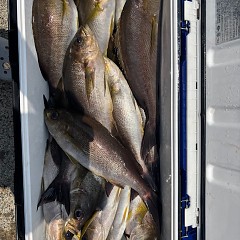 6月30日（月）午前便・イサキ釣りの写真その6