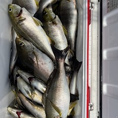 7月1日（火）午前便・イサキ釣りの写真その9